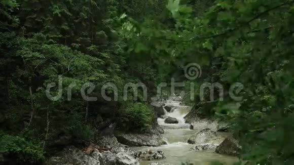 有绿色植被的山溪视频的预览图