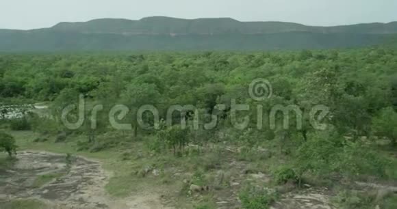 山岭热带植被景观雾霭背景大山岭背景视频的预览图