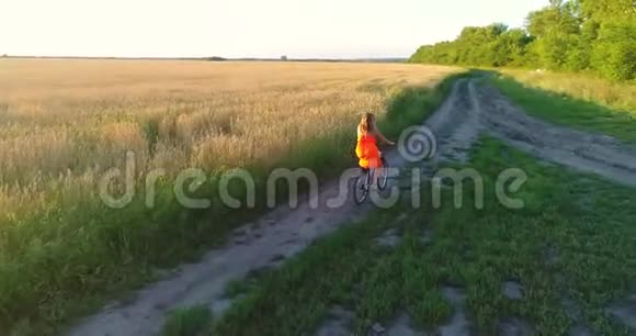 穿裙子的女孩骑着自行车沿着麦田向无人机射击从高处看美丽的风景视频的预览图
