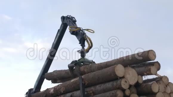 卡车爪式装载机在锯木厂从重型卡车上卸下木材原木视频的预览图