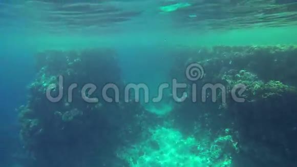 深蓝大海的水下拍摄视频的预览图