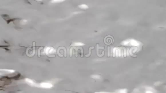水倒影白褐灰色视频的预览图