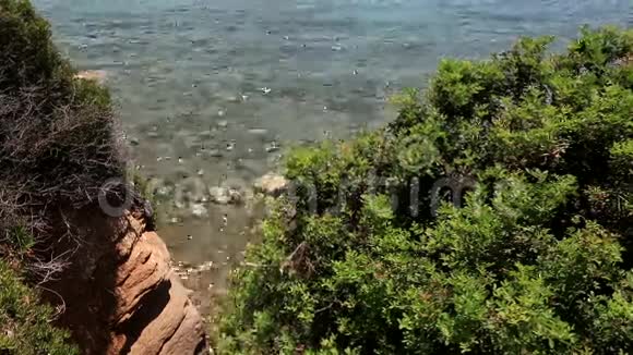 爱琴海冲刷海岸视频的预览图