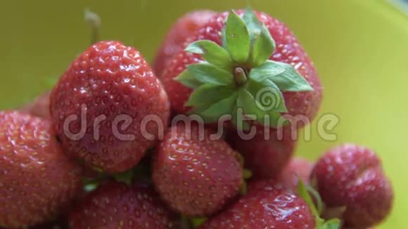 女人吃新鲜草莓视频的预览图