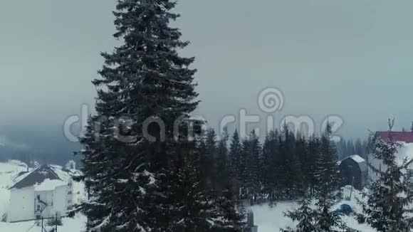 冬天的雪布维尔市的森林日出无人机在山上飞行视频的预览图