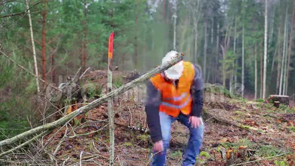 林业工人在森林中移动树枝视频的预览图