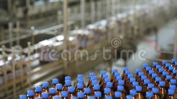 工厂的啤酒生产视频的预览图