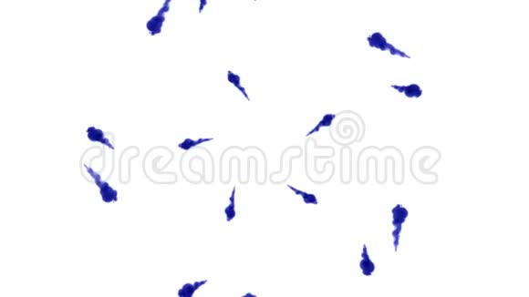 头顶拍摄到一滴蓝色墨水在白色上蓝色墨水在水中并在缓慢的运动中移动使用墨水视频的预览图