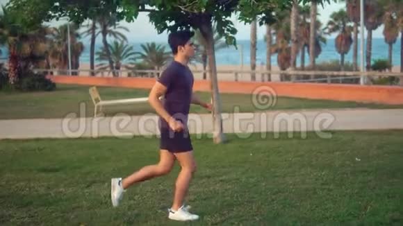 年轻人在海滩附近的棕榈树公园跑步视频的预览图