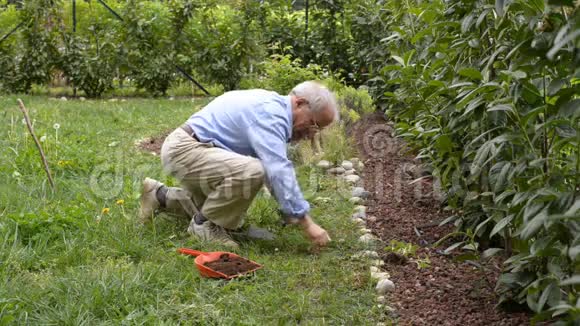 积极的老人在他的家庭花园工作种植新的出生作物视频的预览图