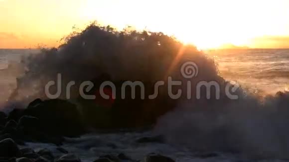黎明时分太阳光束和海浪视频的预览图