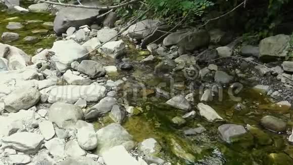 山间的小溪流岩石之间清澈的小溪视频的预览图