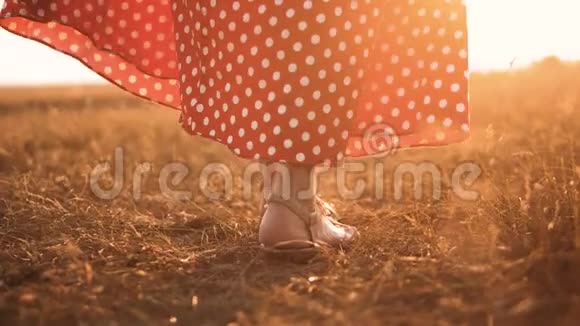 小女孩穿着红色的裙子走在草地上带着绿草自然的慢动作视频在田野里的女孩在日落时腿视频的预览图