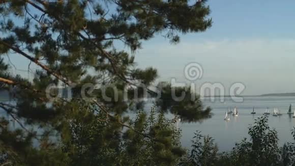 伏尔加河和森林山脉的美丽景色视频的预览图