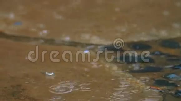 雨水倒在沥青和瓷砖上视频的预览图