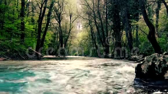 河流流经山林视频的预览图