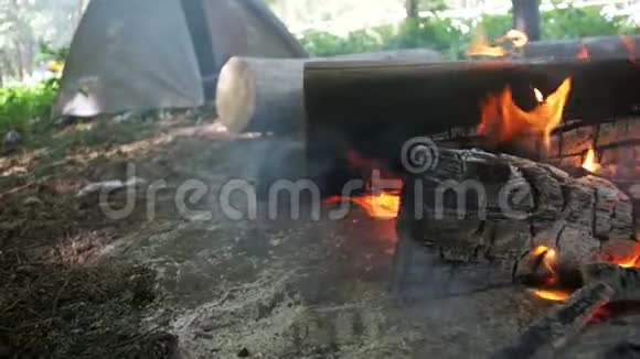 篝火在帐篷和森林中的原木的露营中燃烧慢动作视频的预览图