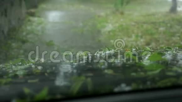 现在是大雨倾盆的时候了视频的预览图