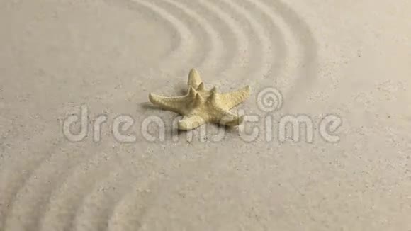 黄色海星躺在起伏的沙滩上视频的预览图