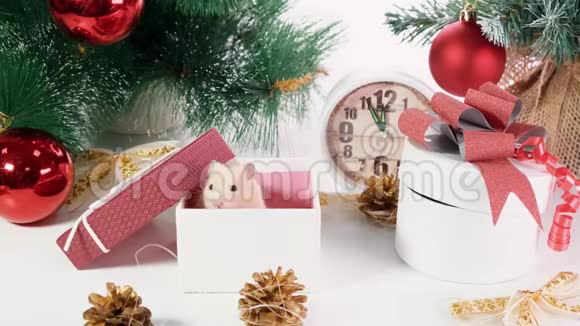 祝2020年新年快乐圣诞作文有老鼠一年的象征圣诞树附近的老鼠礼品盒和视频的预览图
