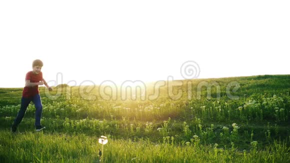 快乐的男孩在草地上奔跑视频的预览图