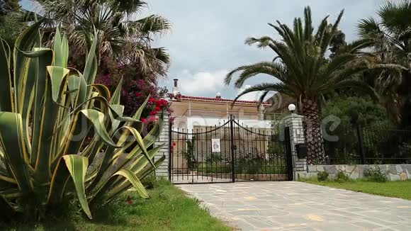 美丽的避暑别墅附近的棕榈树和植物视频的预览图