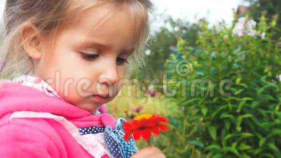 可爱的小女孩闻着一朵红花特写视频的预览图