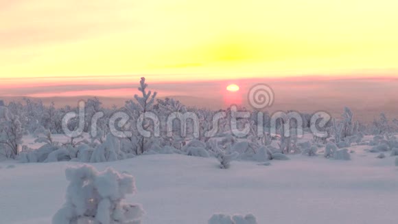 在旭日的背景下一片植被低矮的雪原视频的预览图