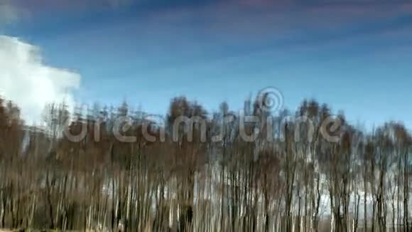 蓝天和春天的森林倒影在河里视频的预览图
