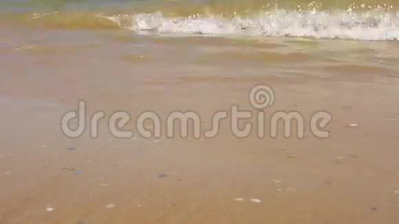 海滩沙滩的近景视频的预览图