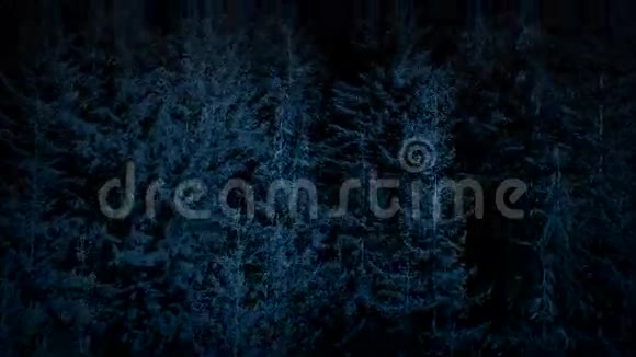 夜间飞越大森林树木视频的预览图