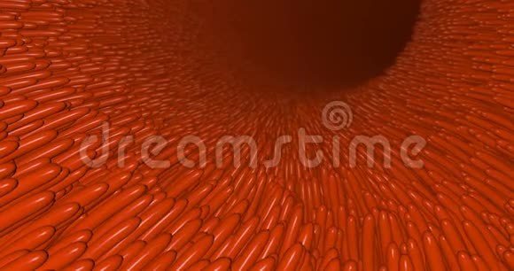 卢什拉瓦显微绒毛和毛细血管别墅为医疗设计消化道肠肠胃结肠视频的预览图