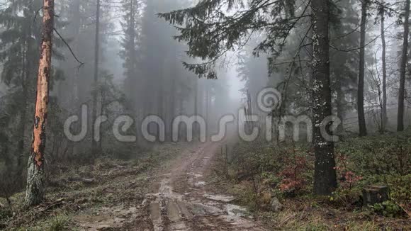 比萨季山脉笼罩在薄雾中的山林视频的预览图