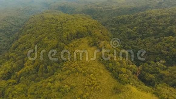 鸟瞰傍晚雨林菲律宾Camiguin岛视频的预览图