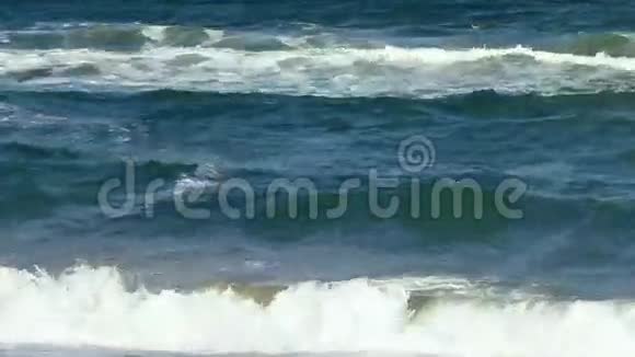 海潮波浪与白沫视频的预览图