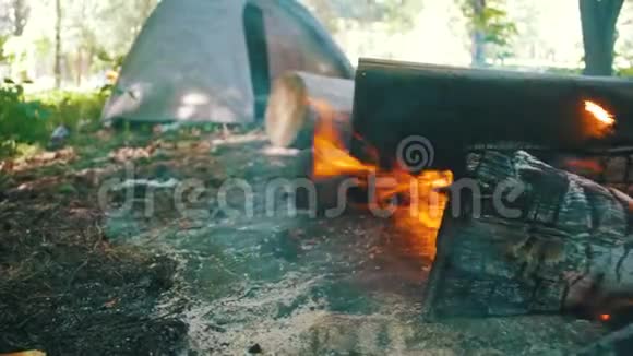 篝火在帐篷和森林中的原木的露营中燃烧慢动作视频的预览图
