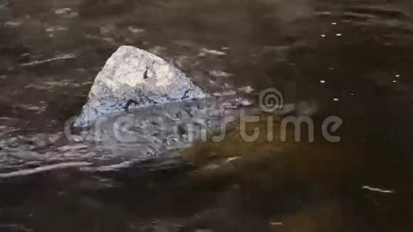 河中的大石头它的水下部分视频的预览图