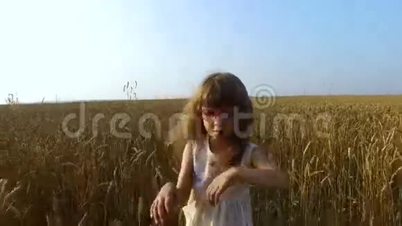 小女孩在麦田里移动小麦变黄了很快它就会开始收割了视频的预览图