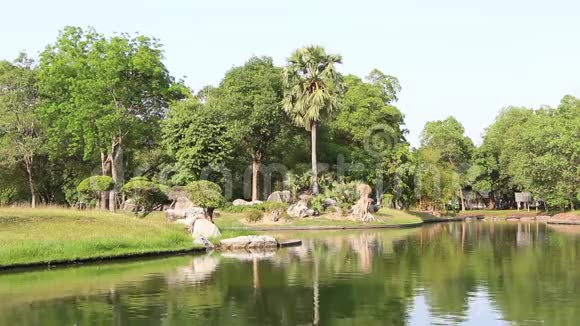 宁静的花园有湖景水树木灌木和风影响树叶视频的预览图