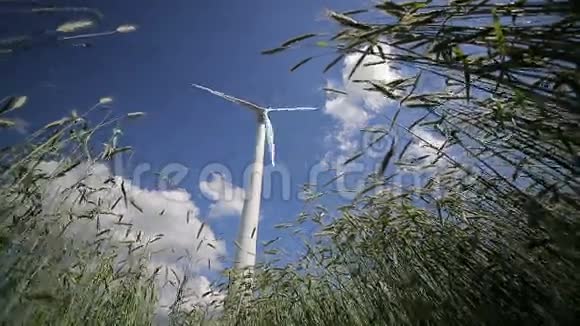 麦田风力发电机涡轮视频的预览图