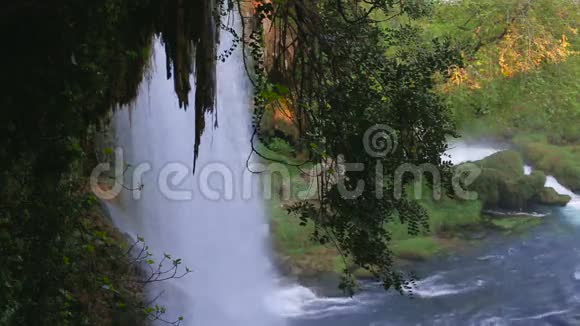 公园里的瀑布绿林中的瀑布高清1920x1080视频的预览图