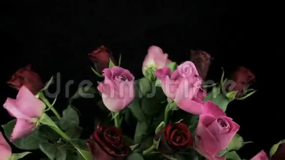 红玫瑰和粉红色玫瑰旋转视频的预览图