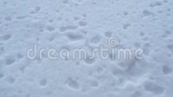摄像机从下面向上升起移除一棵树枝上有雪的树视频的预览图