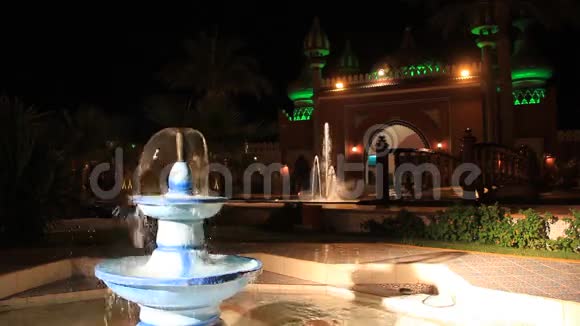 夜宫和喷泉视频的预览图