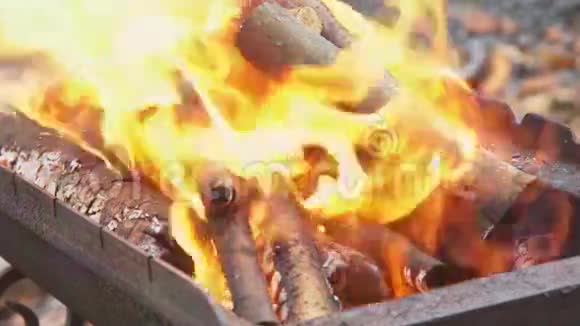 烧烤木炭火烧烤木炭火慢动作在篝火中燃烧的暖火特写视频的预览图