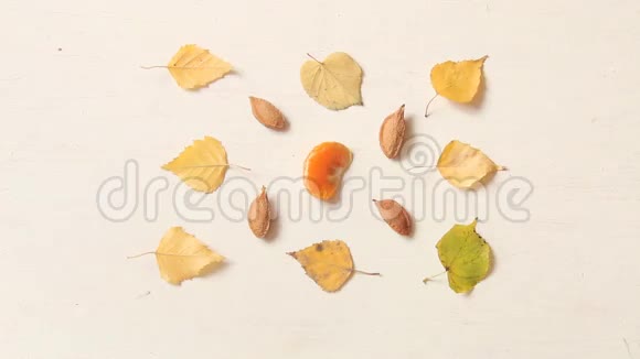 堕落秋天的构图有树叶坚果和普通话视频的预览图