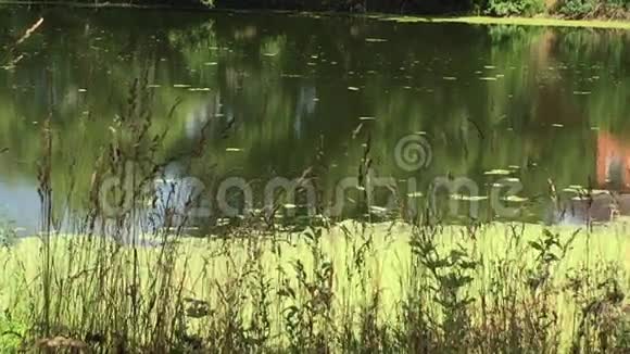 城池的岸边视频的预览图