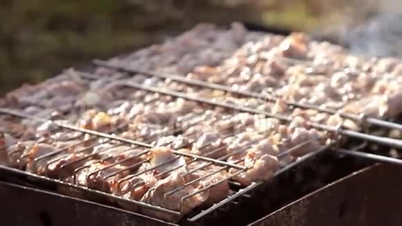 生的多汁的肉块牛肉猪肉羊肉放在男人手里的烤架上烹饪烧烤肉对大自然的影响视频的预览图