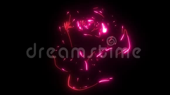 深红红宝石玫瑰花视频动画视频的预览图