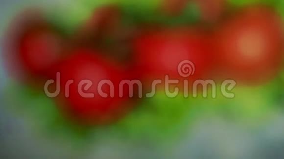 一组小番茄和绿色沙拉逐渐聚焦视频的预览图